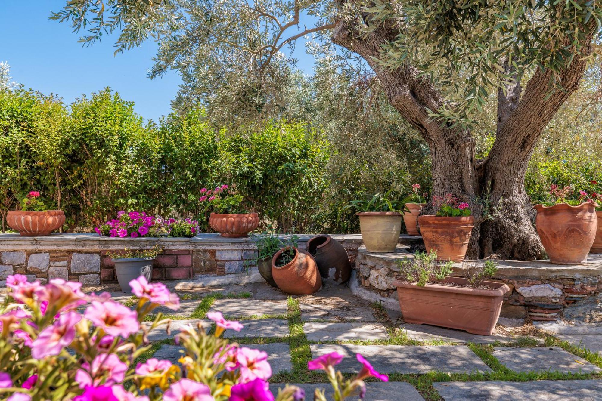 Appartement Aretousa &