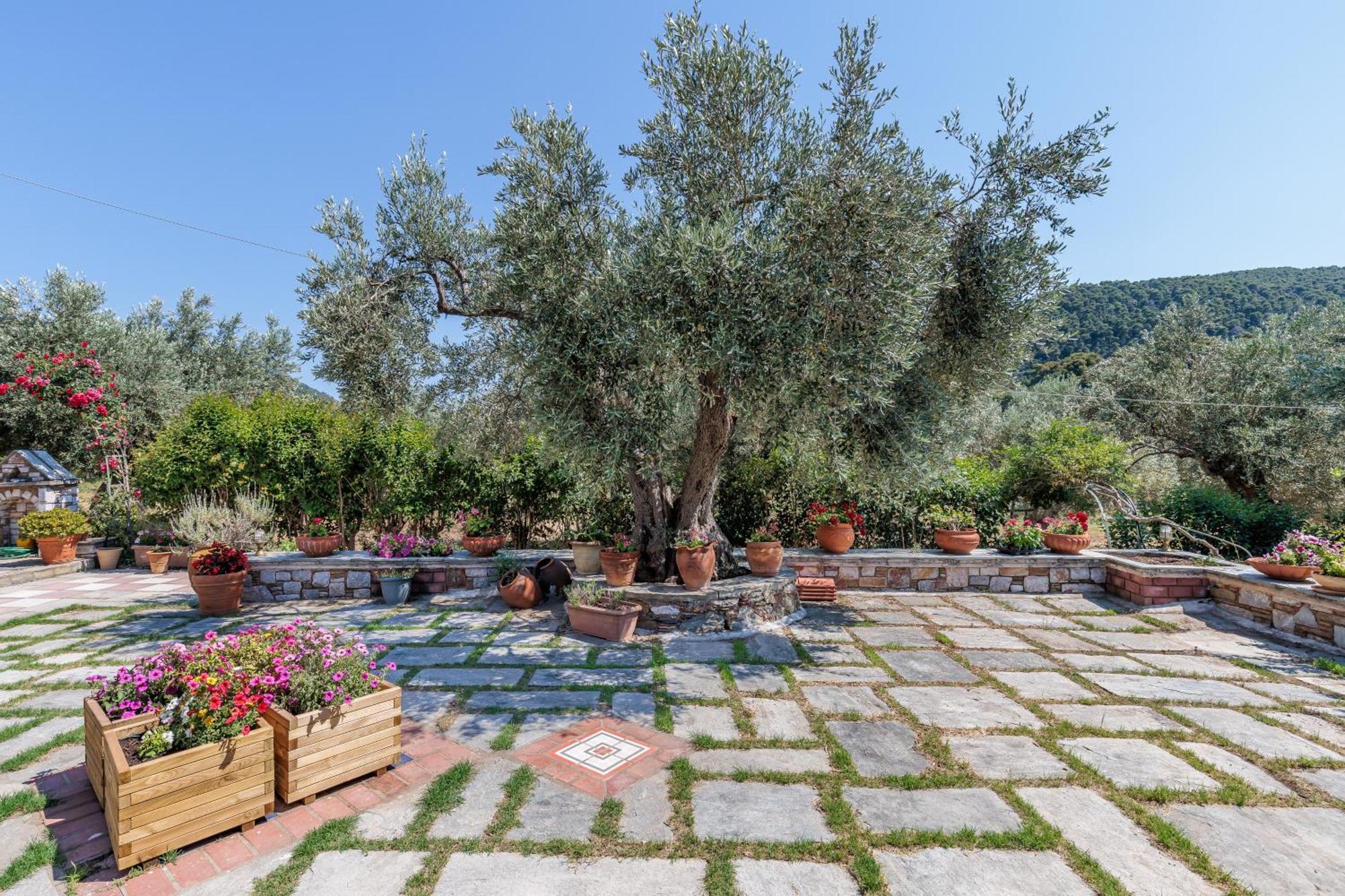 Aretousa & Appartement Skopelos